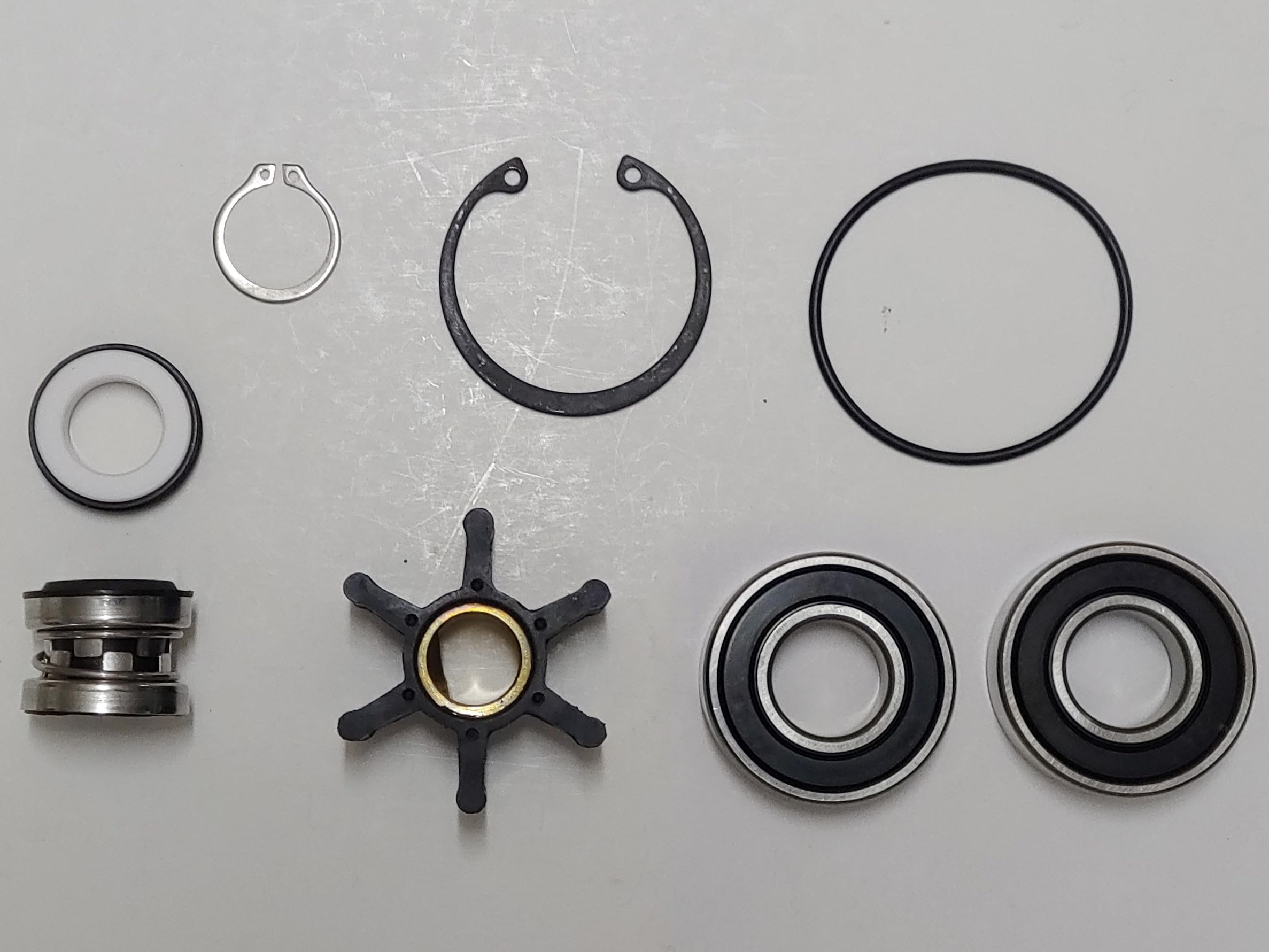 Pump Major Service Kit Major Repair Kit – Replaces Sherwood 12937 ...