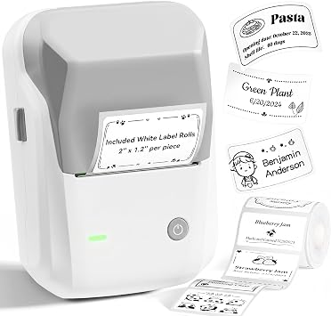 NIIMBOT B1 Label Maker, 2Inch Bluetooth Label Printer for Home, Grey