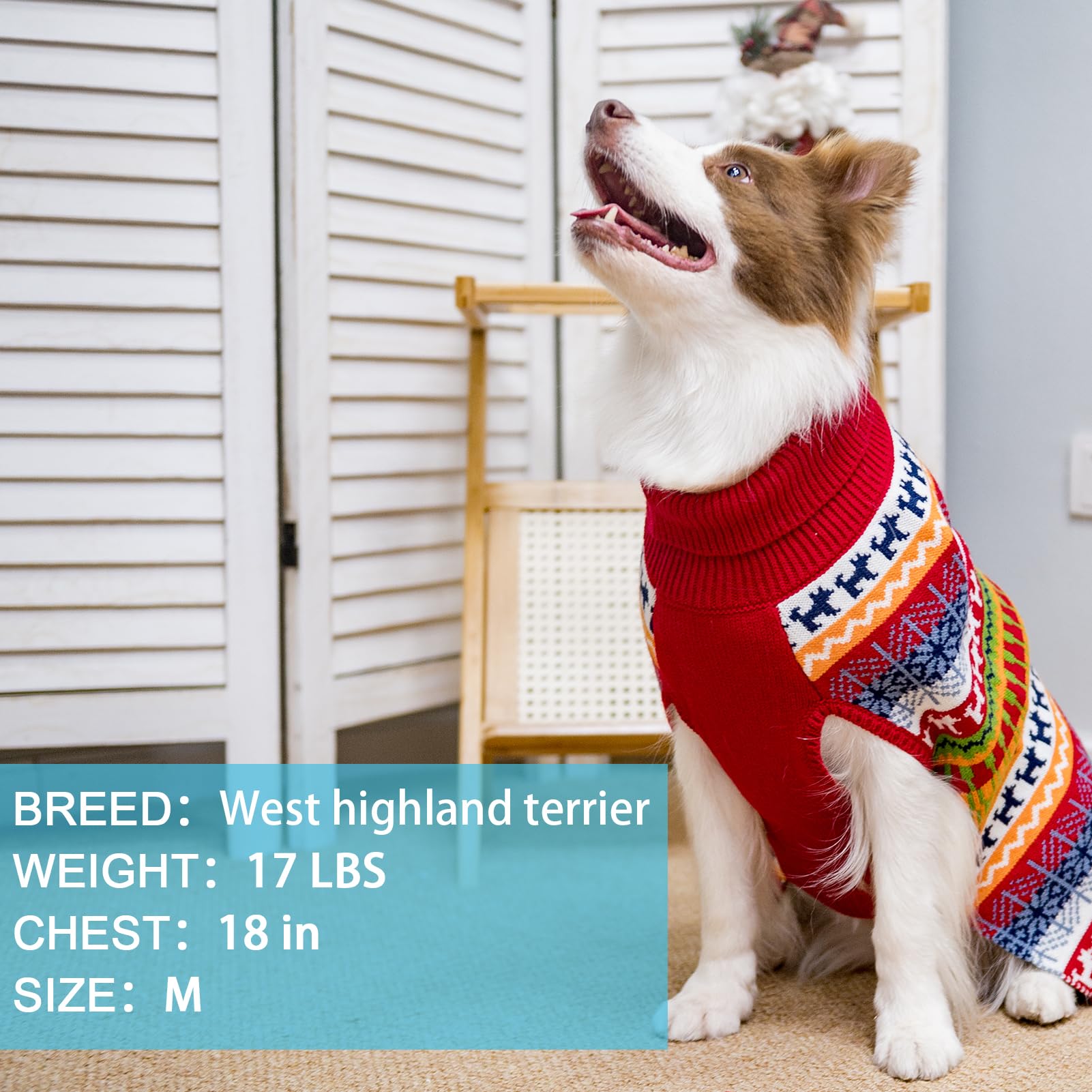 Suéter para perro - Abrigo de invierno con rayas coloridas para clima frío