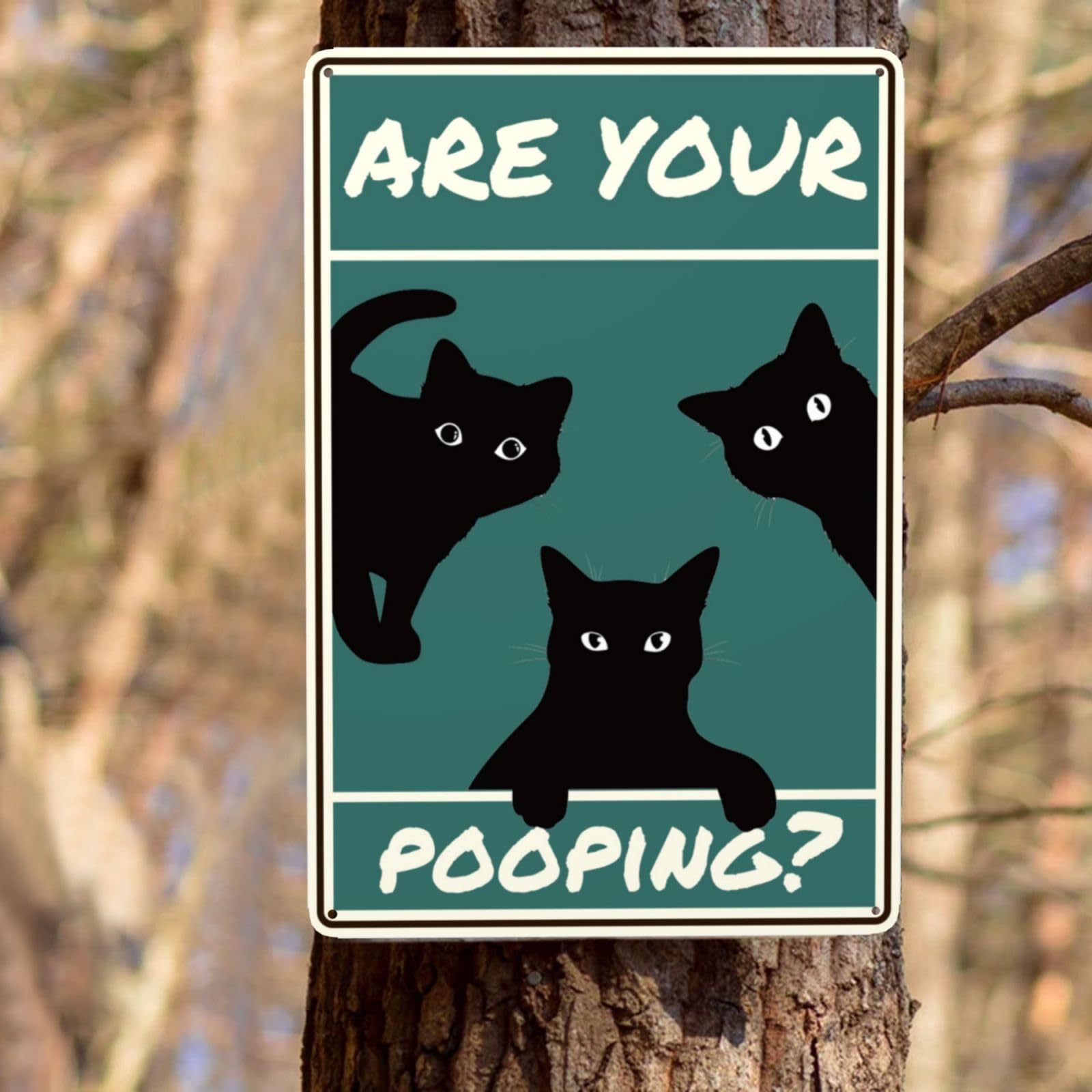 Targa in metallo con gatto nero, con scritta in inglese Are You Pooping, divertente cartello in