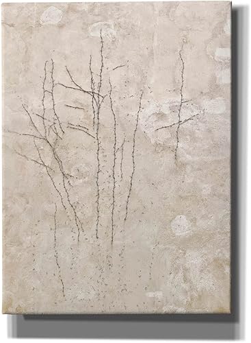 Epic Graffiti 'Stucco Minus Vine 3' by IMB, Canvas Wall Art, 40"x54"