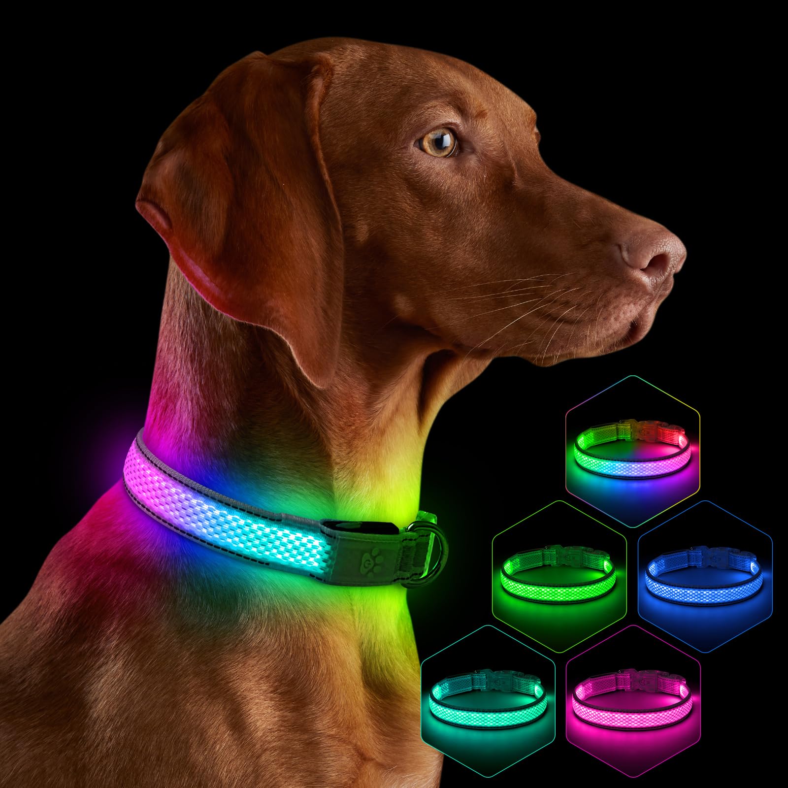 Light up Dog Collar, Multi-Color LED Dog Collar RGB 9-Mode,USB Rechargable