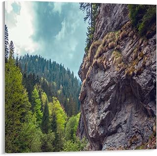 Forest Canvas Prints Paintings Moss Covered Rock Face With Forest In Background Modern Wall Decor For Bedroom Office Decor 16x16 Inch