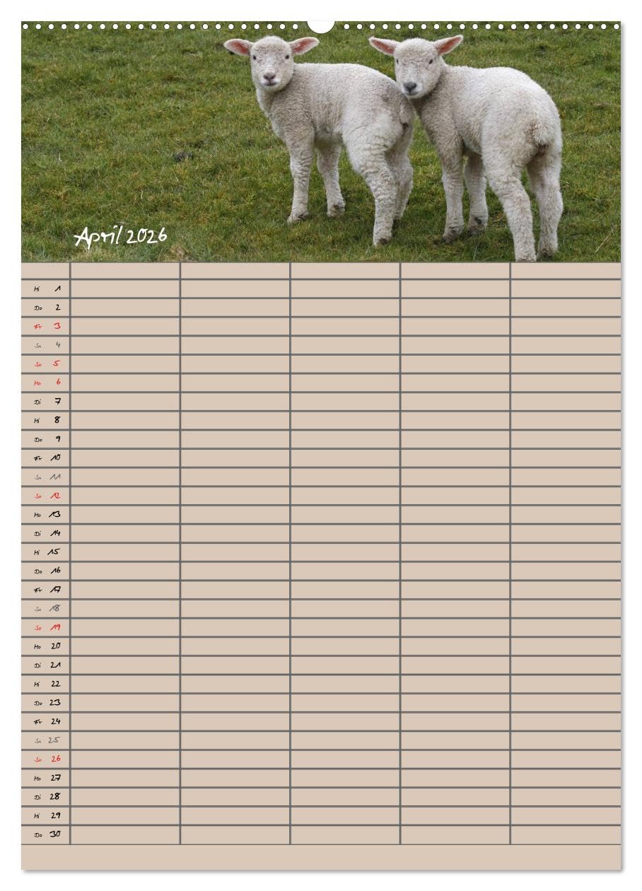 Der belämmerte Familienplaner (hochwertiger Premium Wandkalender 2026 DIN A2 hoch), Kunstdruck in Hochglanz