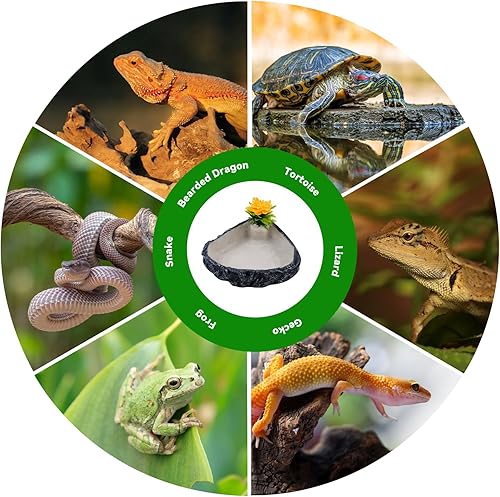 Reptile Corner Food Bowl Water Dish,Snake Feed Dish with Artificial Plant Reptile Water Bowl Terrariums for Bearded Dragon Tortoise Chameleon Hermit Crabs Turtle Leopard Gecko Frog