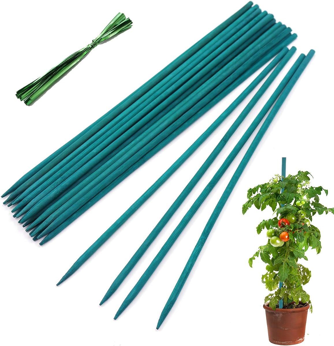 Plant Stakes 25Pcs,12IN Green Bamboo Sticks With25 Green Ties,Orchid Sticks | HAINANSTRY Sturdy Garden Stakes for Plants, Floral Plant Support Stakes, Bamboo Sticks for Plants,Potted Plant