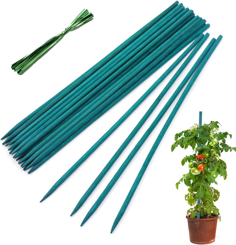Plant Stakes 25Pcs,12IN Green Bamboo Sticks With25 Green Ties,Orchid Sticks | HAINANSTRY Sturdy Garden Stakes for Plants, Floral Plant Support Stakes, Bamboo Sticks for Plants,Potted Plant