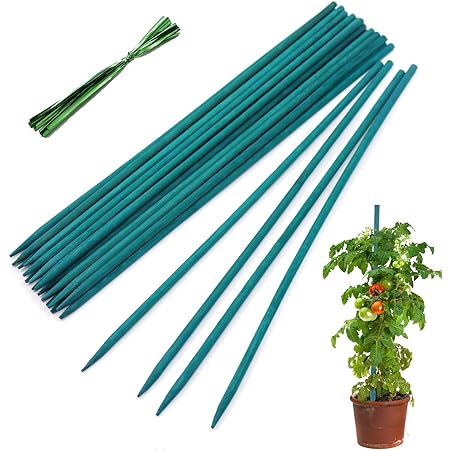 picture Bamboo Sticks For Plant Support Amazon natural pack of 25 bamboo stake tan