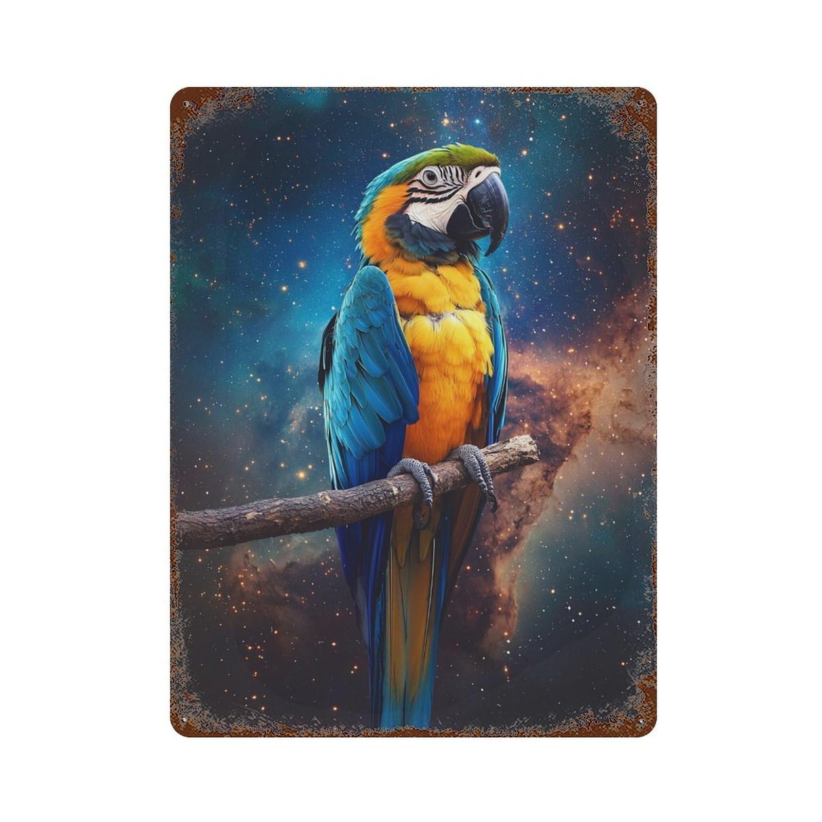 Garage Style Parrot in Space -3 Rusty Metal Tin Sign 15.7"x11.8", Classic Wall Plaque for Bar And Workshop