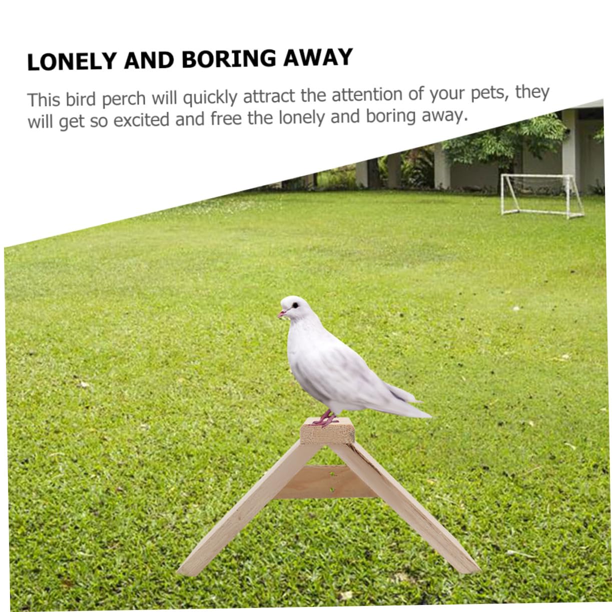 BESTonZON 5 Stück Taubenstangen mit 5 Sitzbrettern Vogelsitzständer für Hennen und Vögel Robustes Holzspielzeug als Haustier Spielplatz und Dekoration