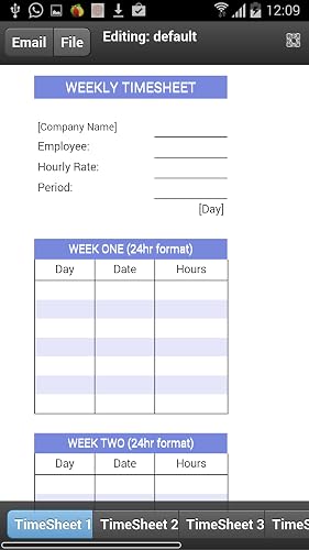Contractor Timesheet – vue 2