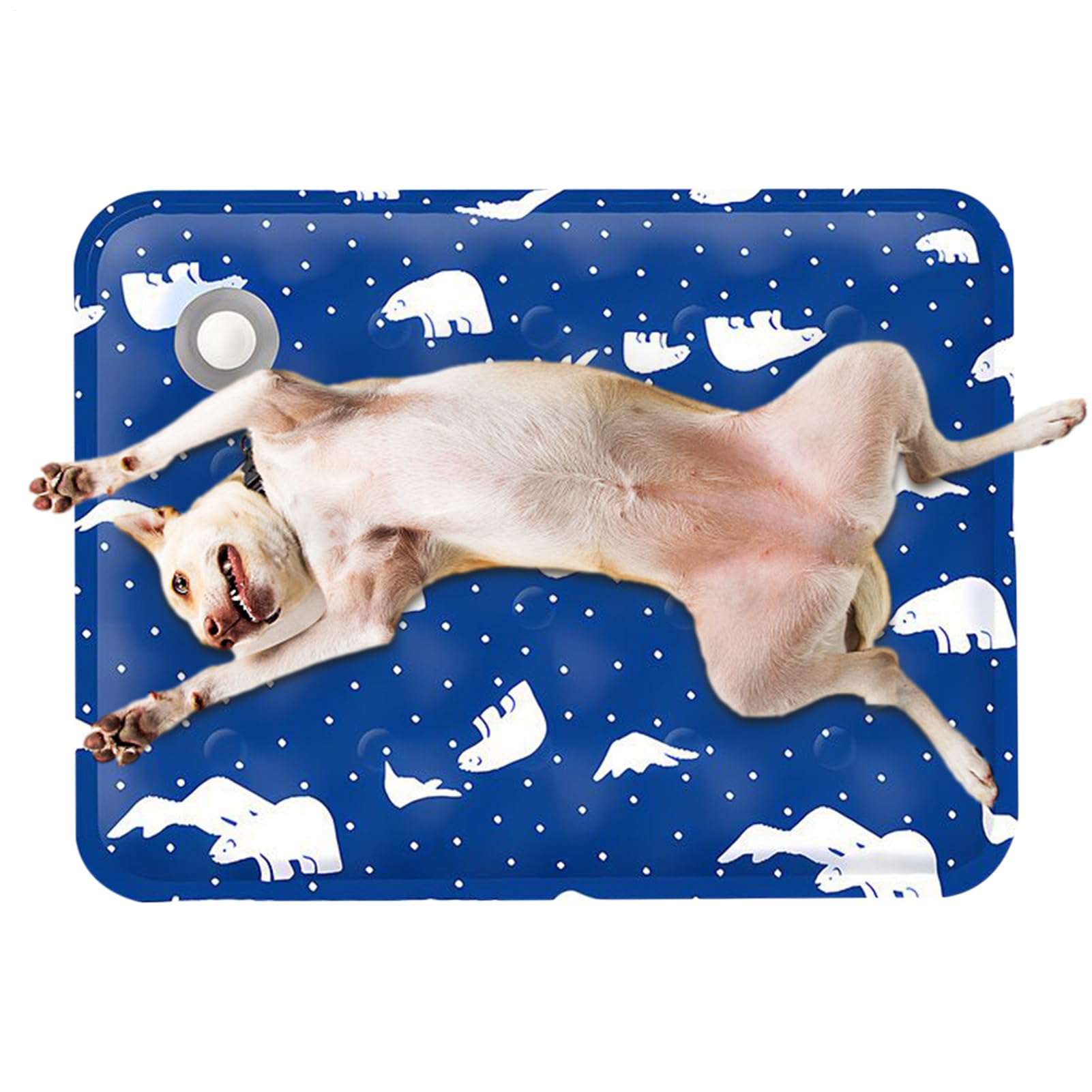 Tapis rafraîchissant pour chien tapis de sol gel voiture appartement