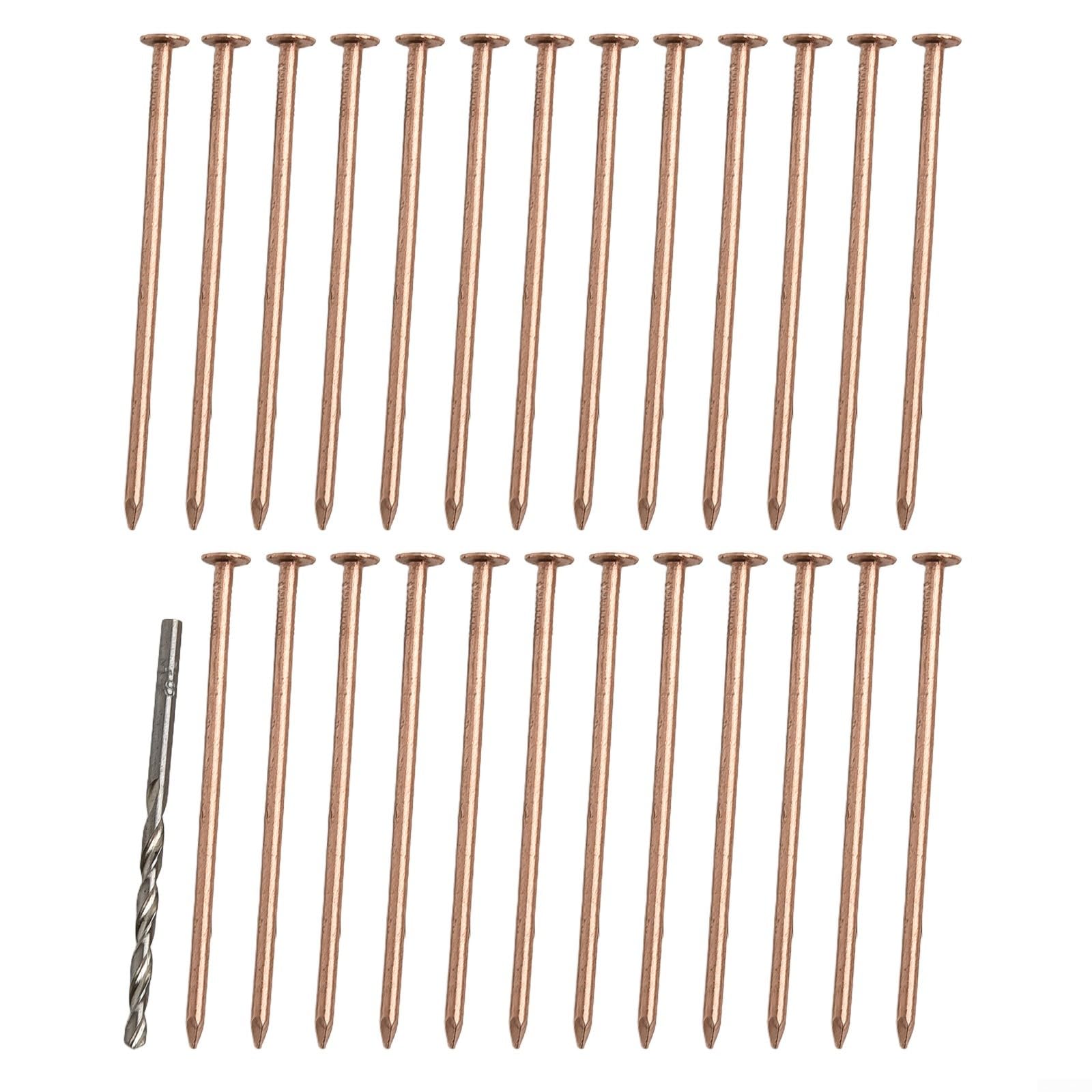 DAZZLEEX Tree Killer Nails, Copper Tree Stump Removal Nails For Removing Trees, Stumps, And Roots By Releasing Excess Copper Ions 4 Inches(25pcs)