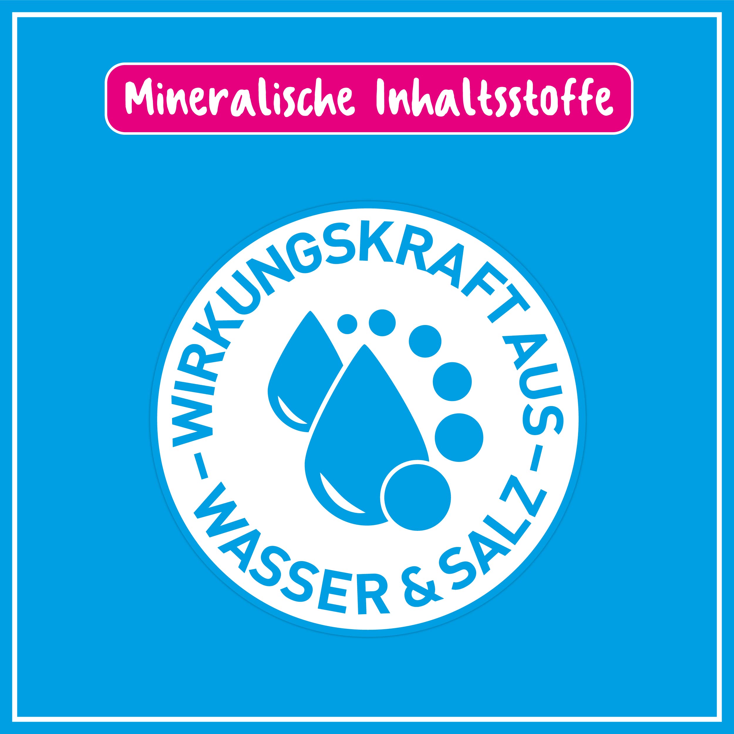 POLIBOY Geruchsstopp - Geruchsentferner gegen organische Gerüche - Duftstofffreier Geruchsneutralisierer - 10x 500 ml - Made in Germany