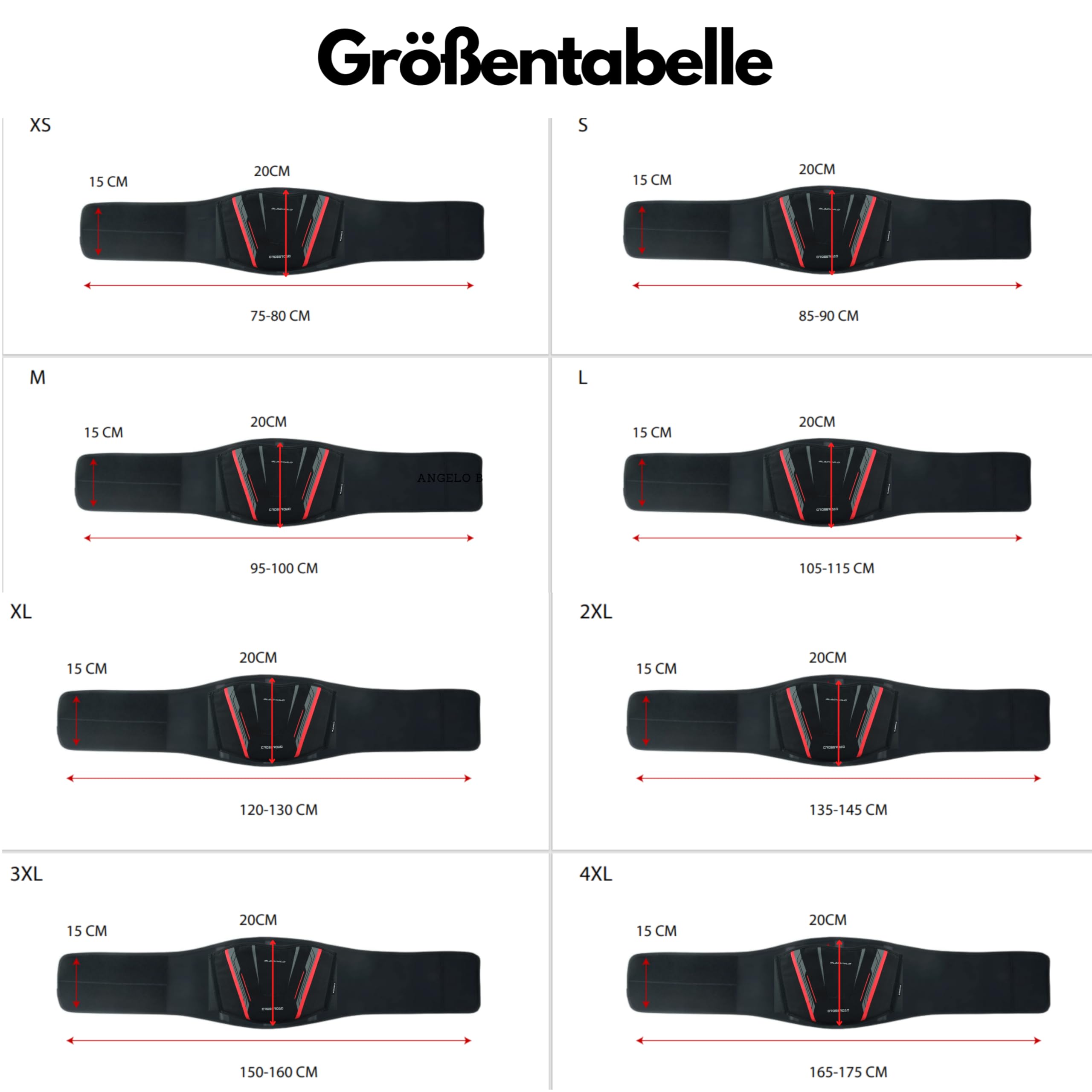 BLACKWILD Ceinture lombaire de moto | Crossroad Ceinture lombaire pour homme et femme | Noir et rouge | Stabilisation efficace des reins | Soutien lombaire | Ceinture de soutien dorsal, Noir , M