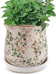 Planters en céramique pour les plantes intérieures avec Saucer, 6 inch Pots de plantes à glaçons avec trous de drainage, pots de fleurs décoratifs pour jardin extérieur, pot toscan pour plante
