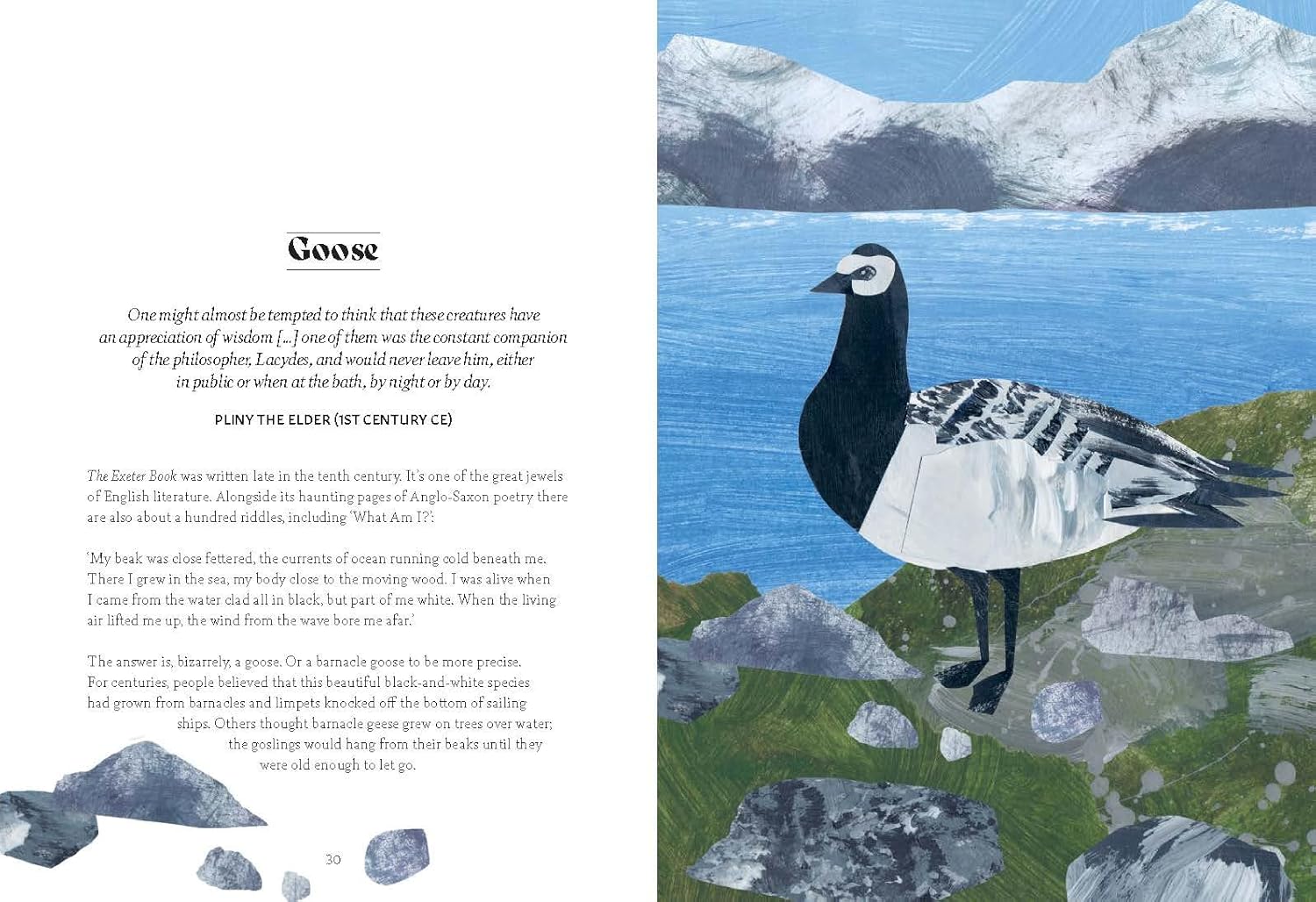 Bird Lore: The Myths, Folklore and Meaning of Birds - Image 6