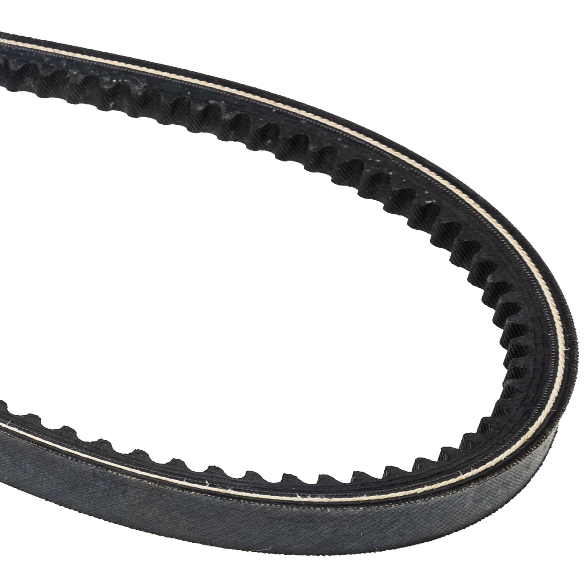 WTAPS T15 BELT PVC ベージュ L WTAPS T15 BELT PVC ベージュ L