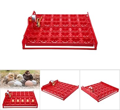 Egg Hatcher Tray, Egg Turning Tray Tool Egg Turner, Chicken Incubators, Egg Incubation Tray, Egg Incubator Accessories, for Chicken Duck(110V Motor)
