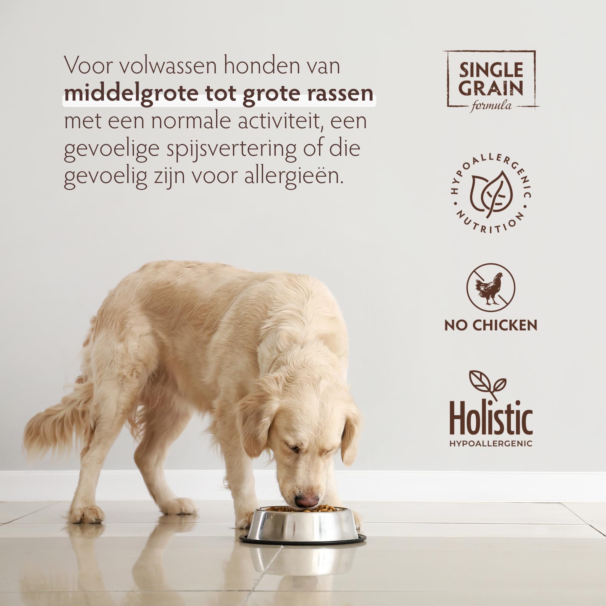 Grandorf Medium En Maxi Witte Vis Hypoallergeen Single Grain Hondenvoer Middelgrote Grote Rassen 1 Kg 3327868267