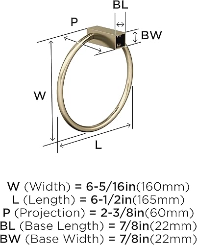 Vista 164 de Amerock BH3608226 Toallero cromado Toallero de 6-1/2 pulgadas (6.496 in) de longitud Monumento Toallero de mano para pared de baño Soporte
