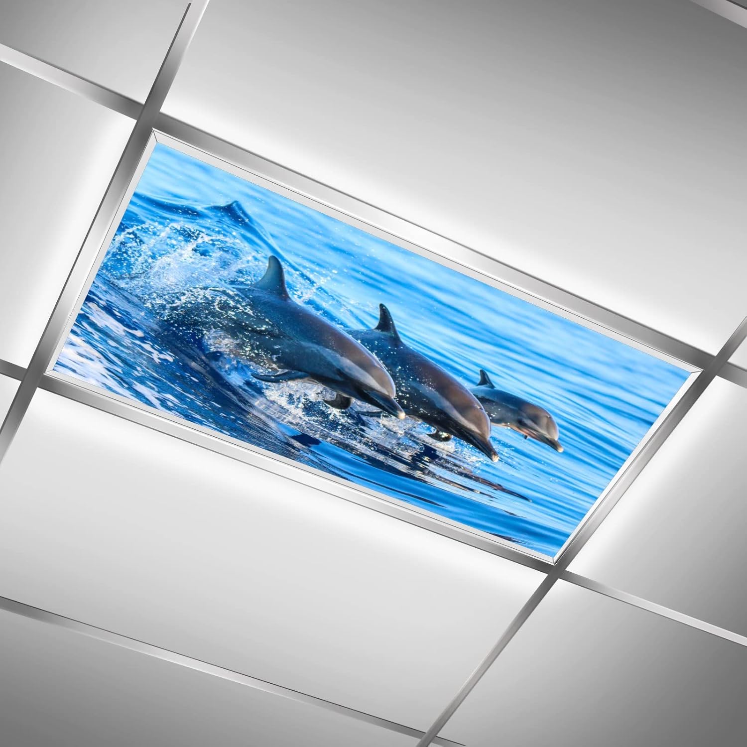 Fluorescent Light Covers for Classroom Kitchen Office Decorations