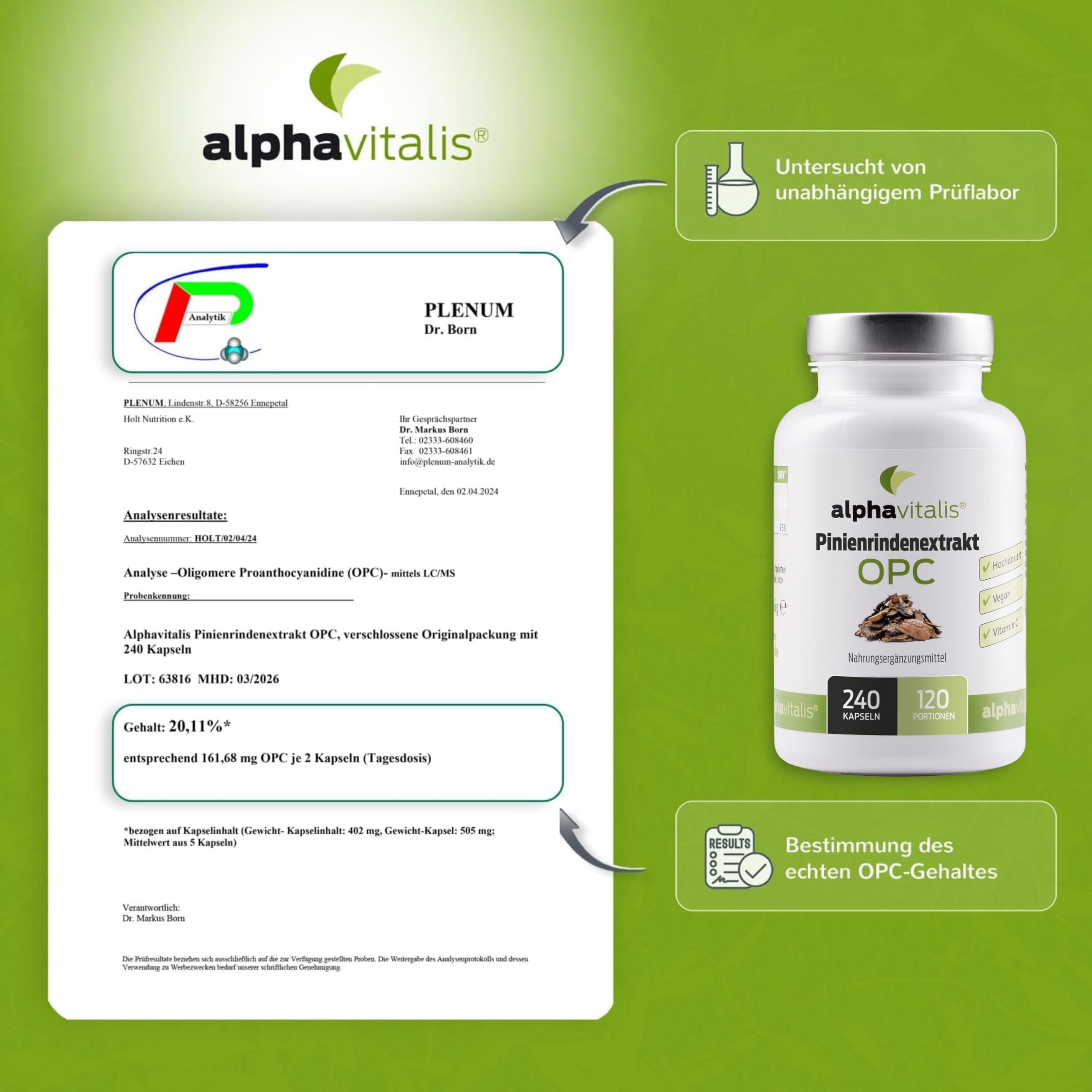 Pinienrindenextrakt Kapseln hochdosiert mit 32% OPC + natürliches Vitamin C - 240 Stk. - 500mg veganer Kiefernrindenextrakt - laborgeprüft aus Pinus pinaster