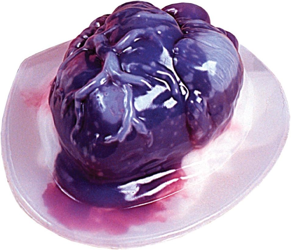 Fun World Heart Jello Mold Halloween Decoration - Make Your Own Gelatin Hearts - Terrify Your Friends, Kids and Halloween Party Guests
