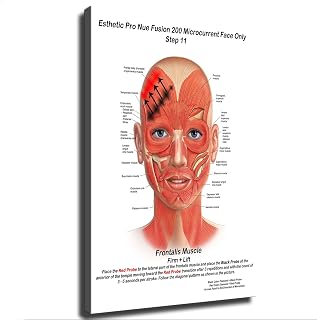 Facial Anatomy Muscles Veins Detailed Educational Science Poster Canvas Wall Art Painting Print Painting Suitable for Bedroom Dormitory Living Room and Other Home Decor (08×12inch_Framed)