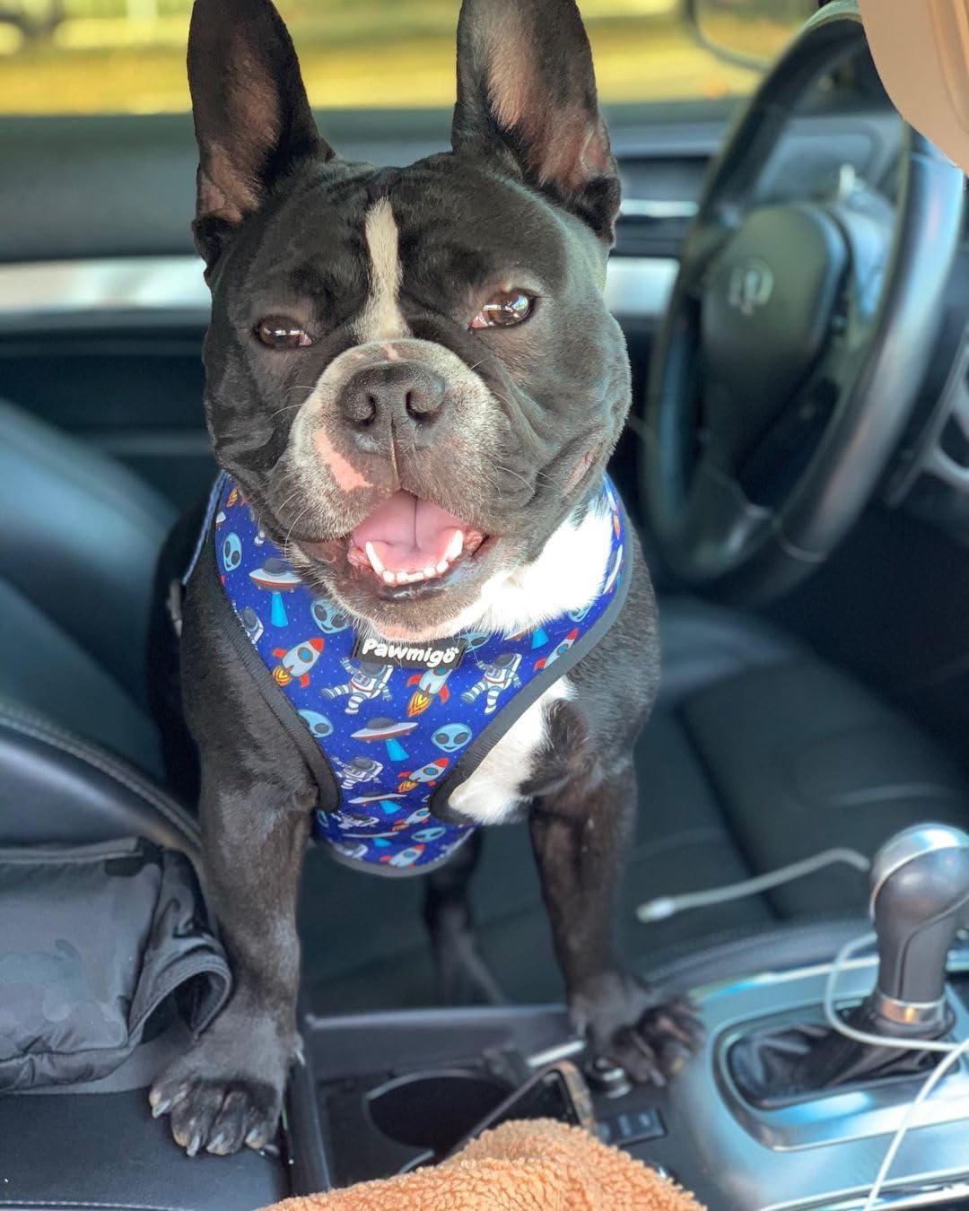 Reversible Dog Harness - Best No-Pull Designer Pet Harnesses for Medium Dogs - Padded Stretchy Adjustable Vest with Leash Clip for Easy Walking (X-Large, Extra-Furrestrial)