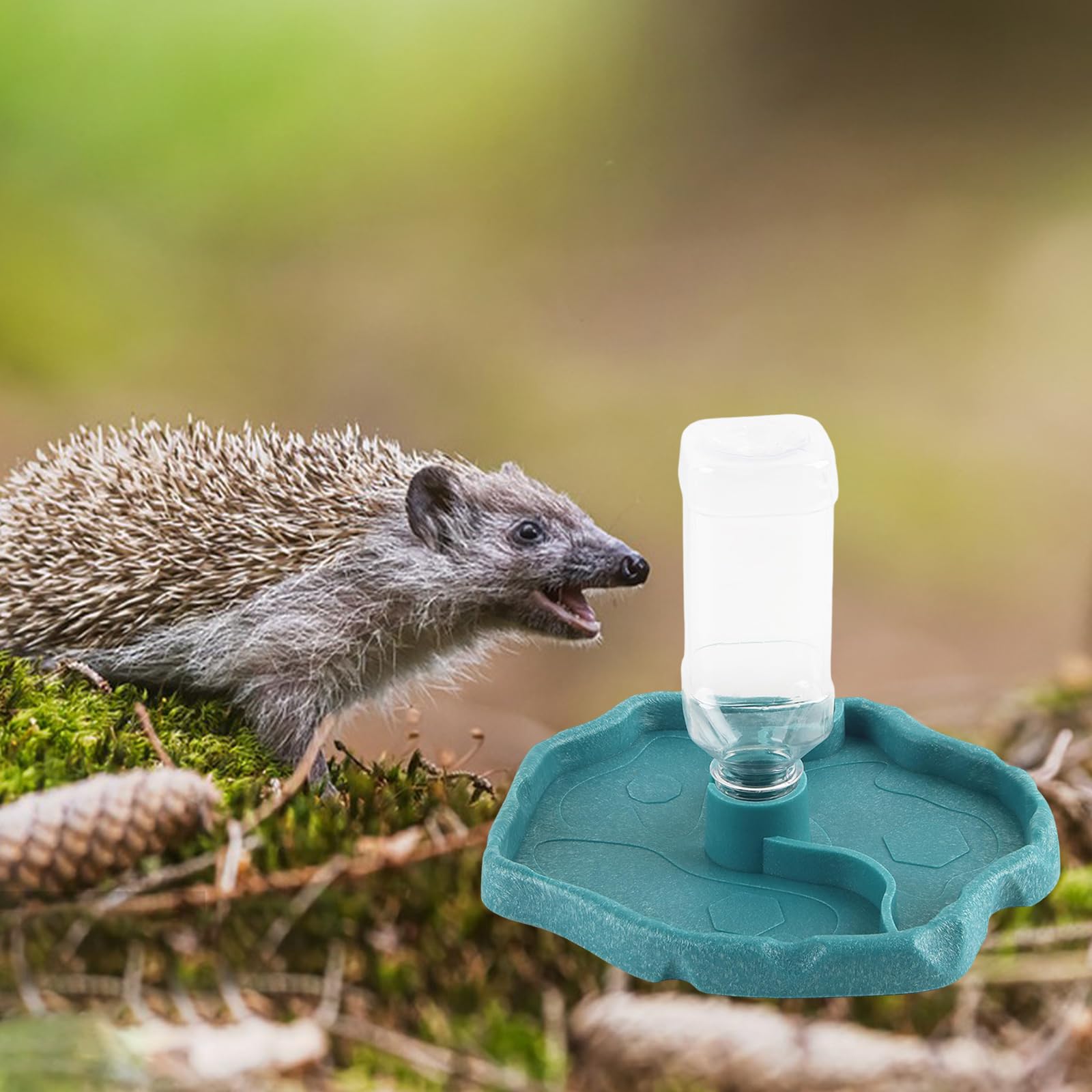 Distributore Di Acqua Per Rettili, Ciotola D'acqua Per Tartarughe, Abbeveratoio Per Mangiatoia 2 In 1 Ciotola Di Rettili, Adatta Per L'alimentazione Di Piccoli Rettili Come Tartarughe, Lucertole