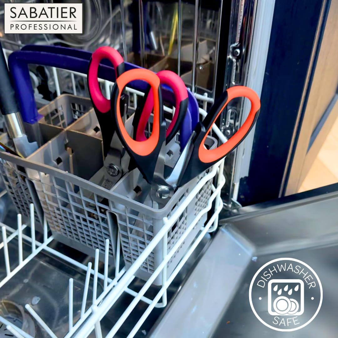 Taylor's Eye Witness - Forbici professionali Sabatier