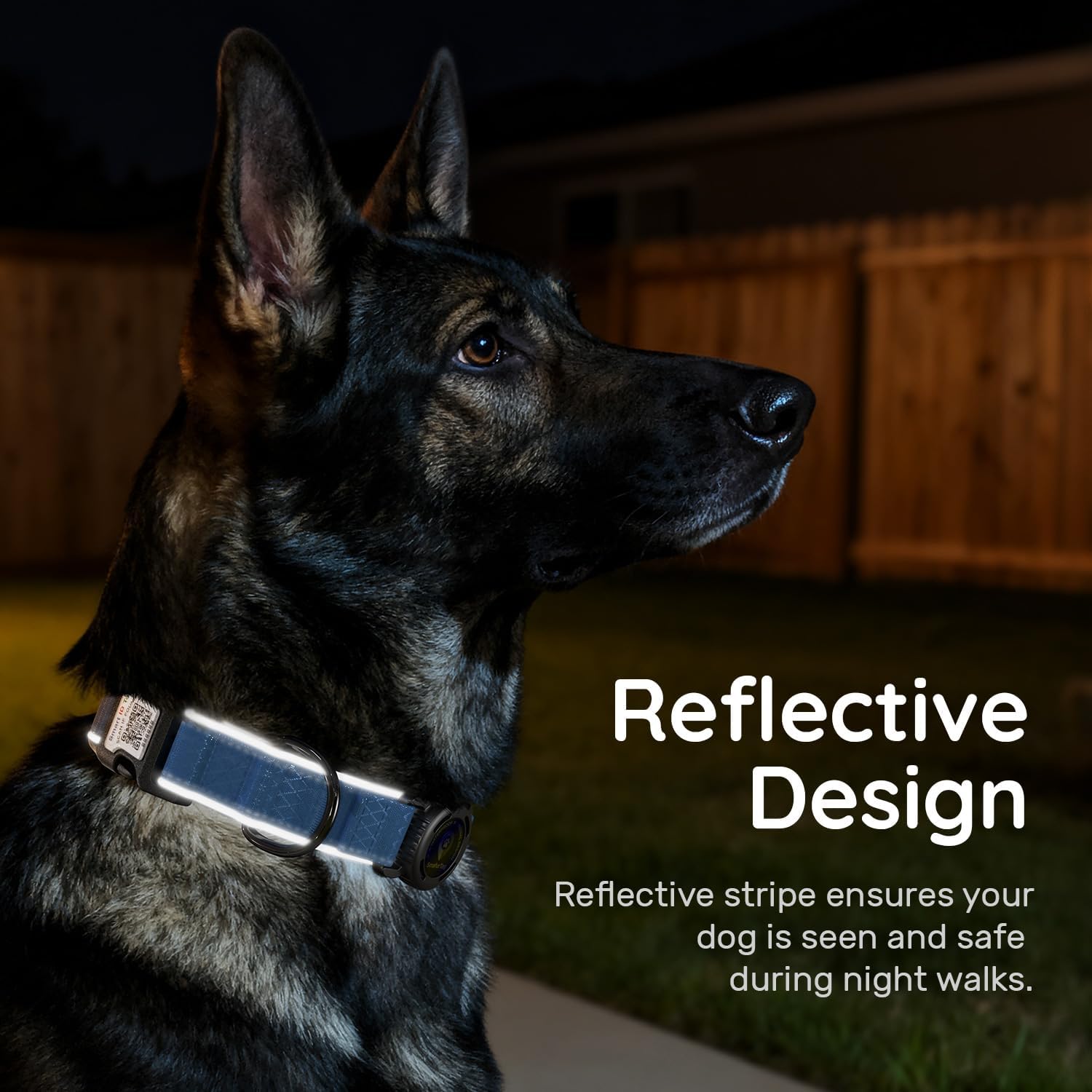 AirTag Dog Collar with QR Code ID & Waterproof Holder - Reflective, Durable Padded Oxford Collar Compatible with Apple AirTags for Medium Dogs (Blue, M)