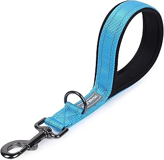 VIVAGLORY Short Dog Leash, Short Traffic Leash for Dogs, Short Training Leash for Medium & Large Dogs, 12INCH, Lake Blue