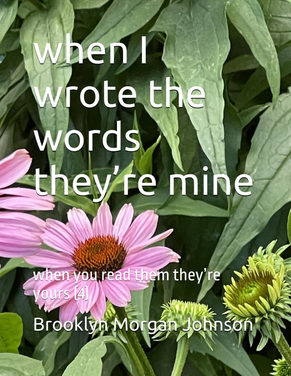when I wrote the words they’re mine: when you read them they’re yours (4)