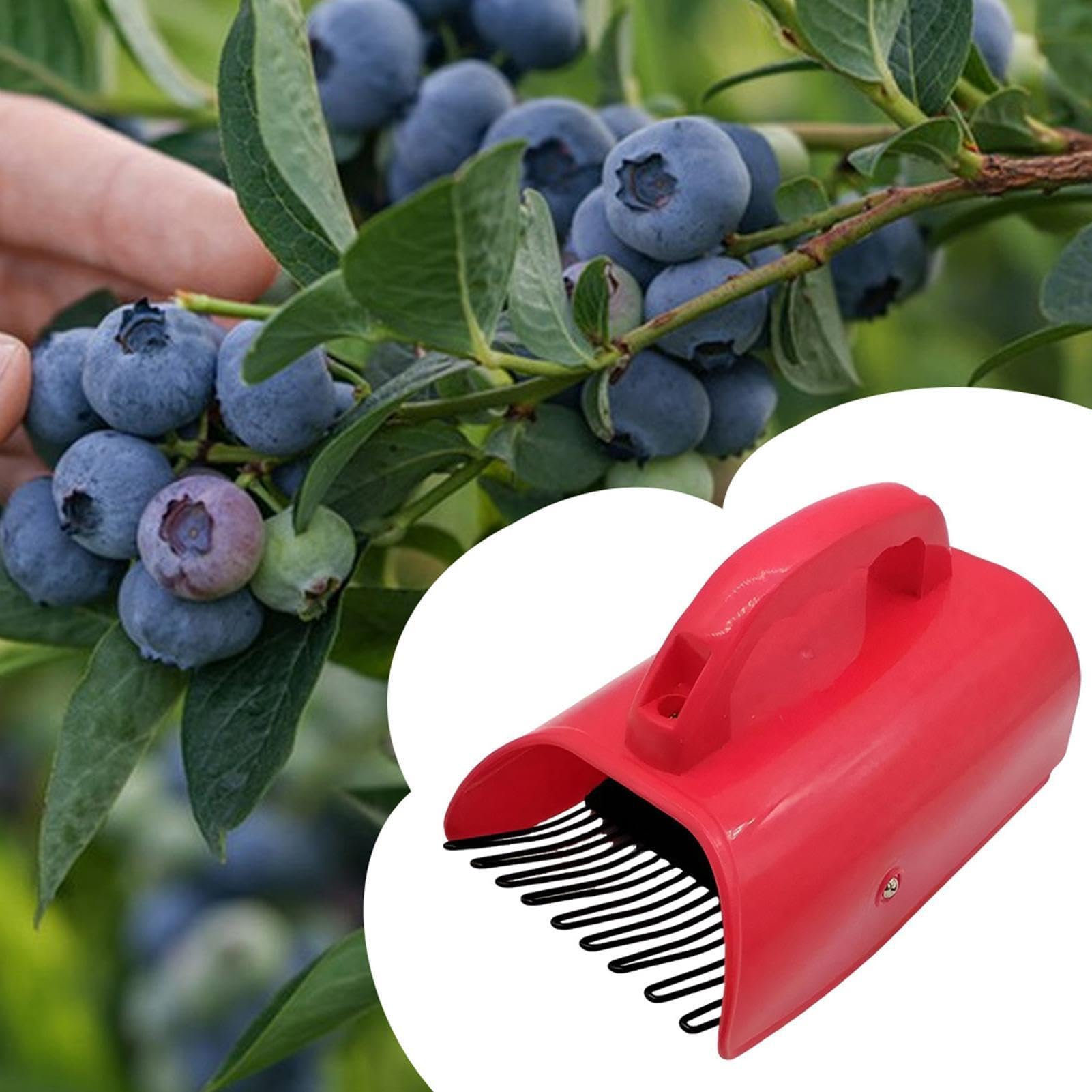 Pelle à baies avec poignée - Pelle à fruits pour myrtilles, champs, vergers, agriculture et cour
