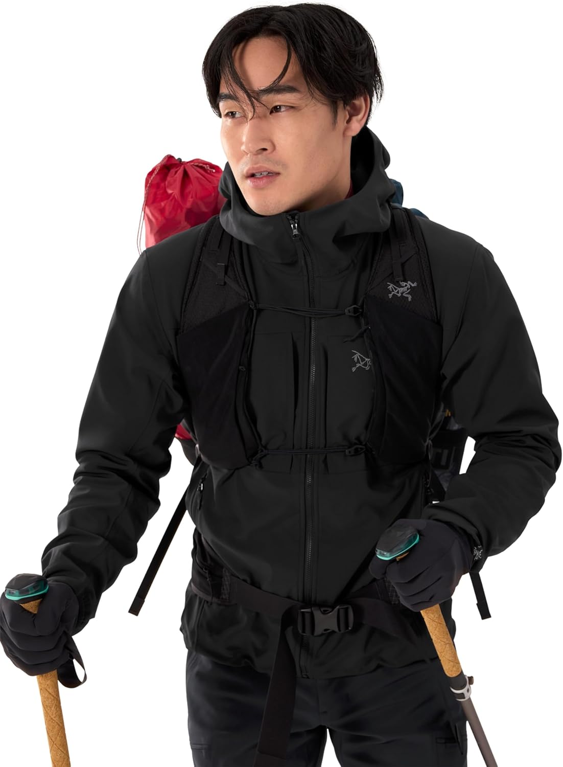 希少 科韻楽器 極品 蘇州二胡 柳城碧藍煙外染 べっ甲 彫刻絵 弓 レザー