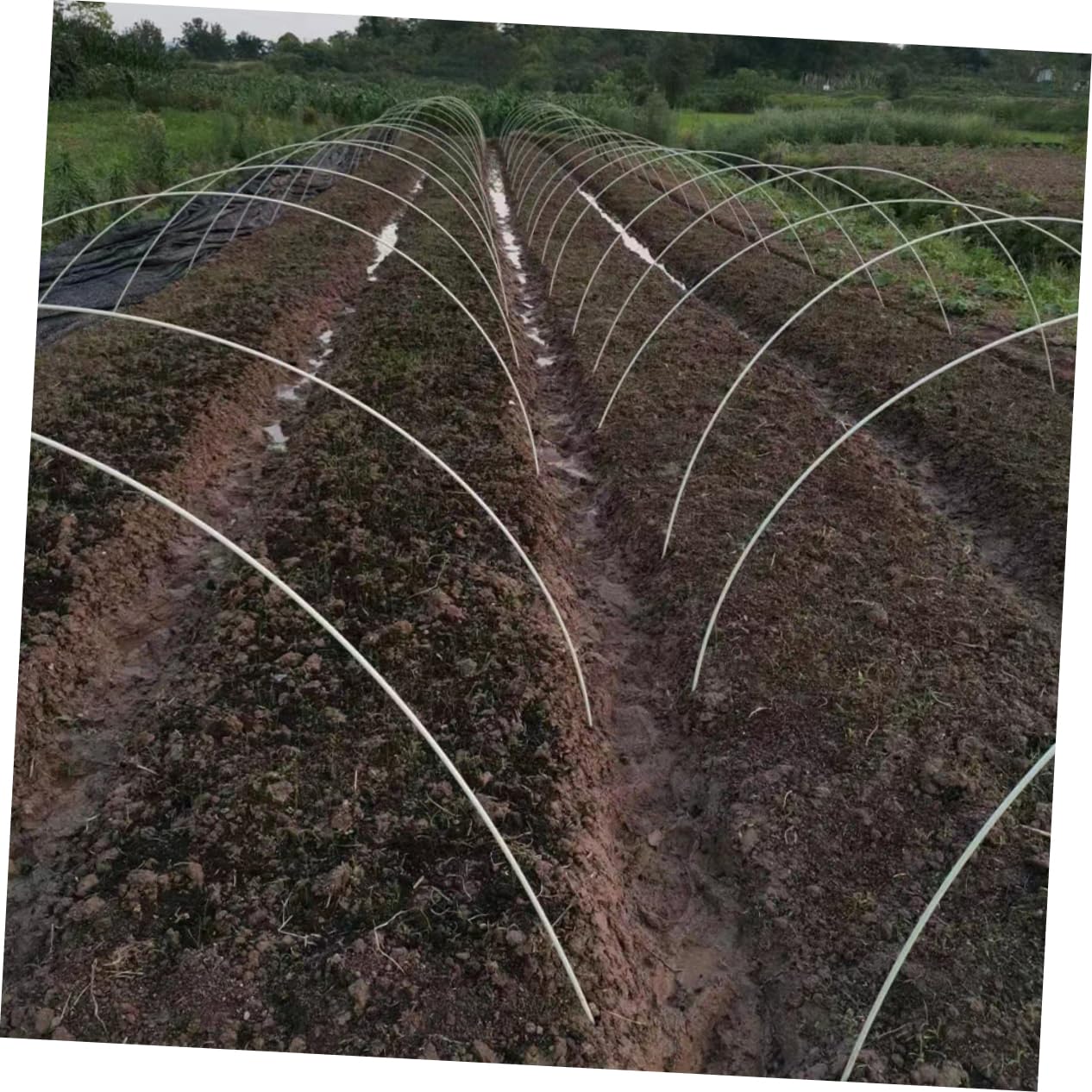 Tunnel pour Salade Arceaux de Jardin en Polyéthylène et Fibre de Verre, Réutilisable et Lavable, 1 Set pour Serrage Potager et Soutien la Croissance