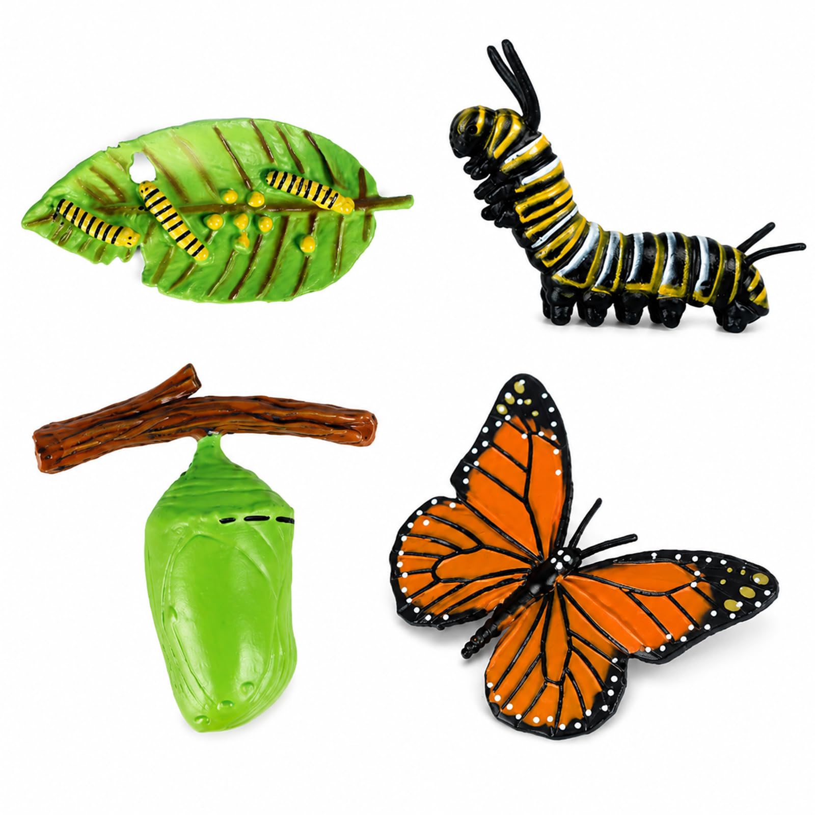 HDFHDF Insect Model Insect Life Cycle Growth Model Butterfly, Frog, Worker Ant, Mosquito Early Education Toys Cycle Stage Teaching Aids