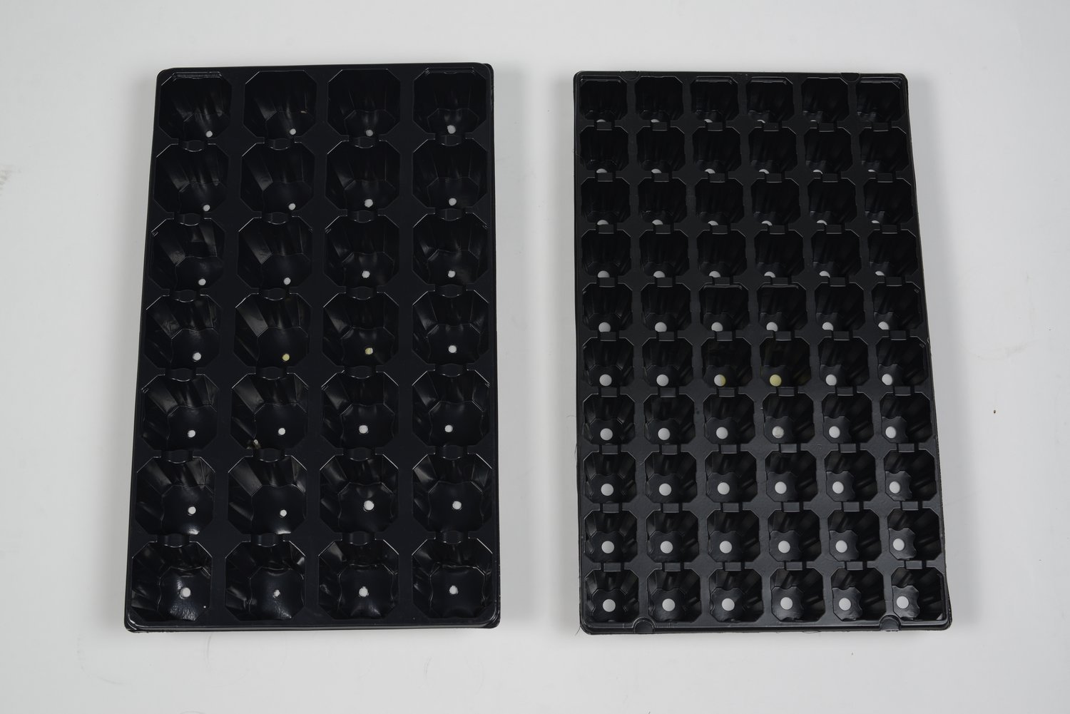 Bandejas de Germinación con 60 Alveolos para Jardín o Huerto | Semilleros de Plástico Rígido Negro para Plantar Esquejes, Sembrar Semillas o Cultivar Planteles | Pack de 70 Bandejas Apilables