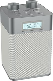 Mycket DAB/DAB+ Digital & FM Radio, Mains and Battery Powered Radio,Portable DAB Radio,Rechargeable USB MP3 Player with Bluetooth/U Disk, 80 Preset Stations,Headphone Input,LED Display,for Home,Travel