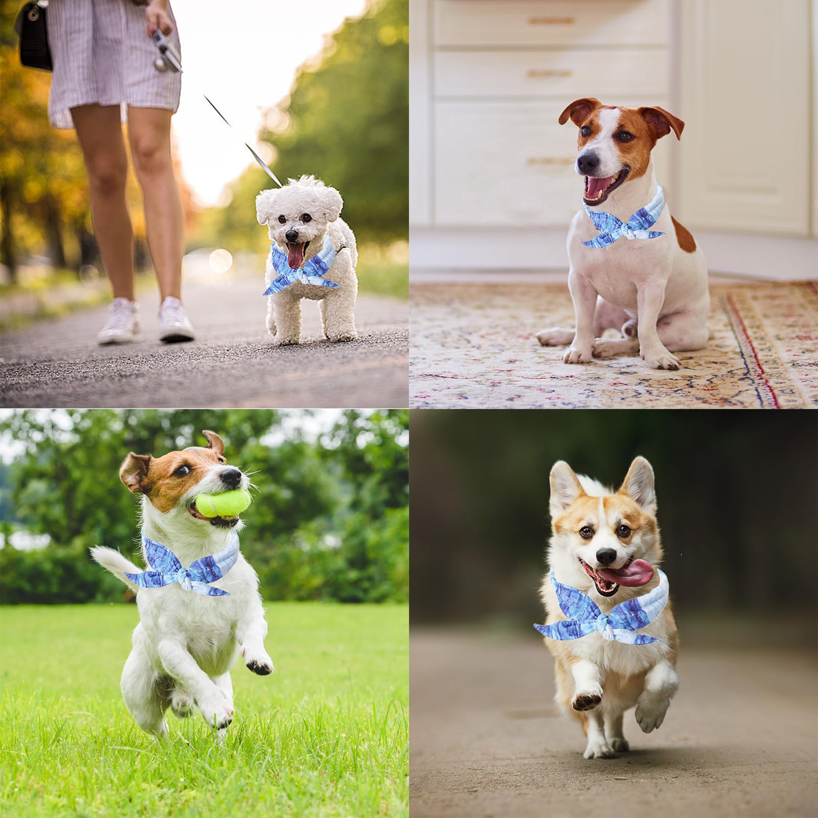 Bandana Rinfrescante per Cani, Collare di Raffreddamento, Sciarpa per il Ghiaccio per Cani, Collari per Cane di Raffreddamento, Bandana Cane per L'estate