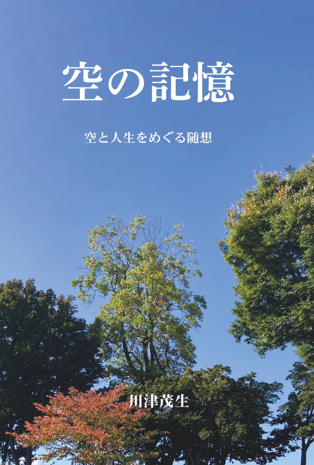 空の記憶: 空と人生をめぐる随想