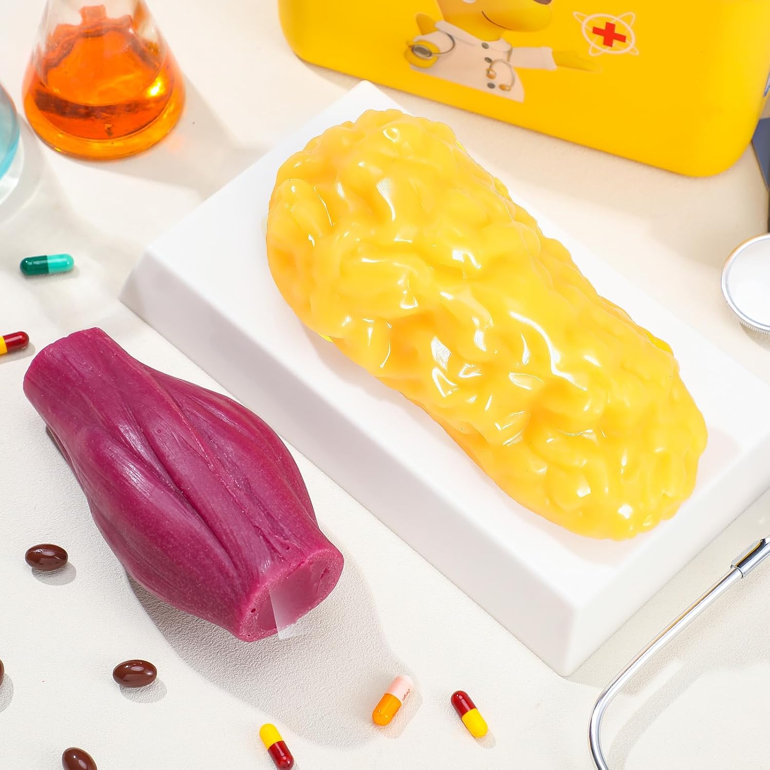 Chunful Human Body Muscle 0.8lb & Fat Replica1.3 lb with Display Base Realistic Anatomic Muscle Tissue & Fat Model Demonstration for Anatomy, Physiology, Science & Technology Students