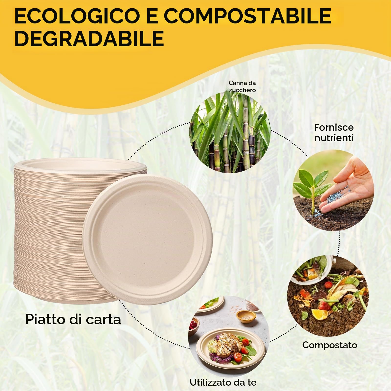 Jollliance Piatti di Carta 100% Compostabili, 23 cm - Resistenti, Confezione da 50, in Bagasso di Canna da Zucchero Naturale, Marrone, Monouso