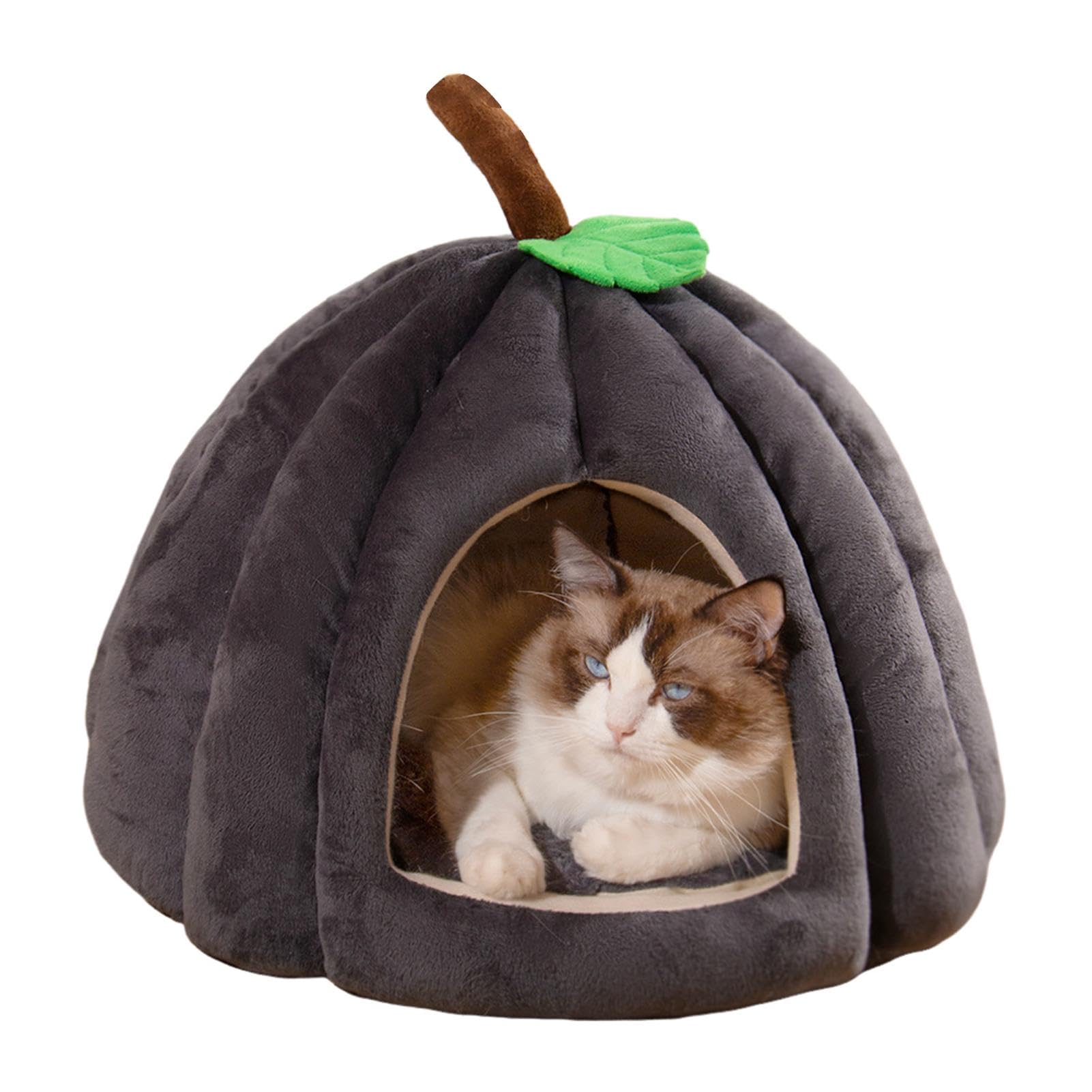 per gatti di Halloween, Grotta per animali domestici, letti a forma di per | cani piccoli, per animali domestici, , grotta di Halloween, cuccia termica chiusa per