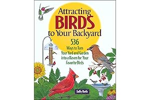 Backyard Bird Sanctuary: 536 Ways to Attract Birds to Your Yard