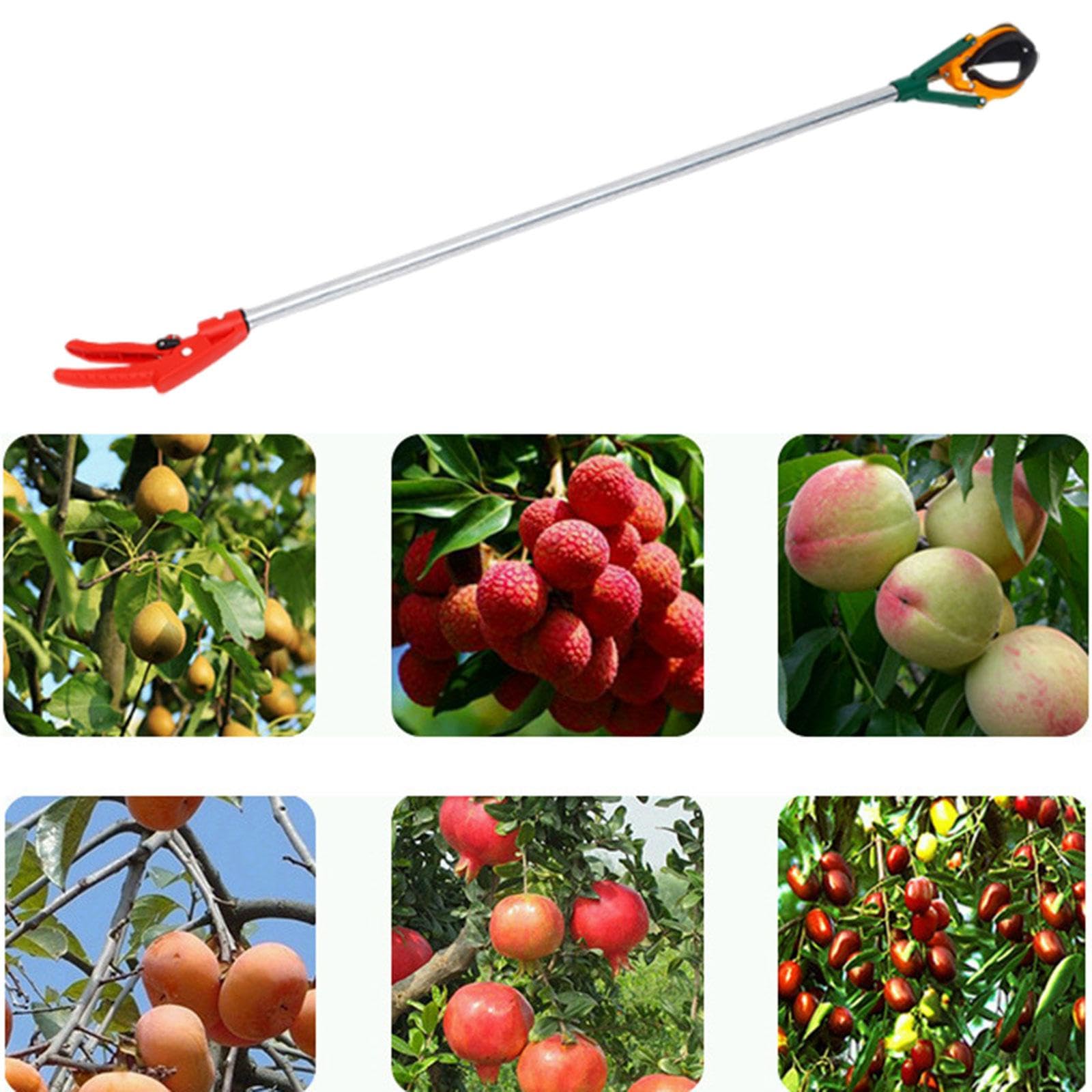 Qianly Strumento Raccogli-frutta con Tre Artigli in Gomma Multiuso per Raccogliere