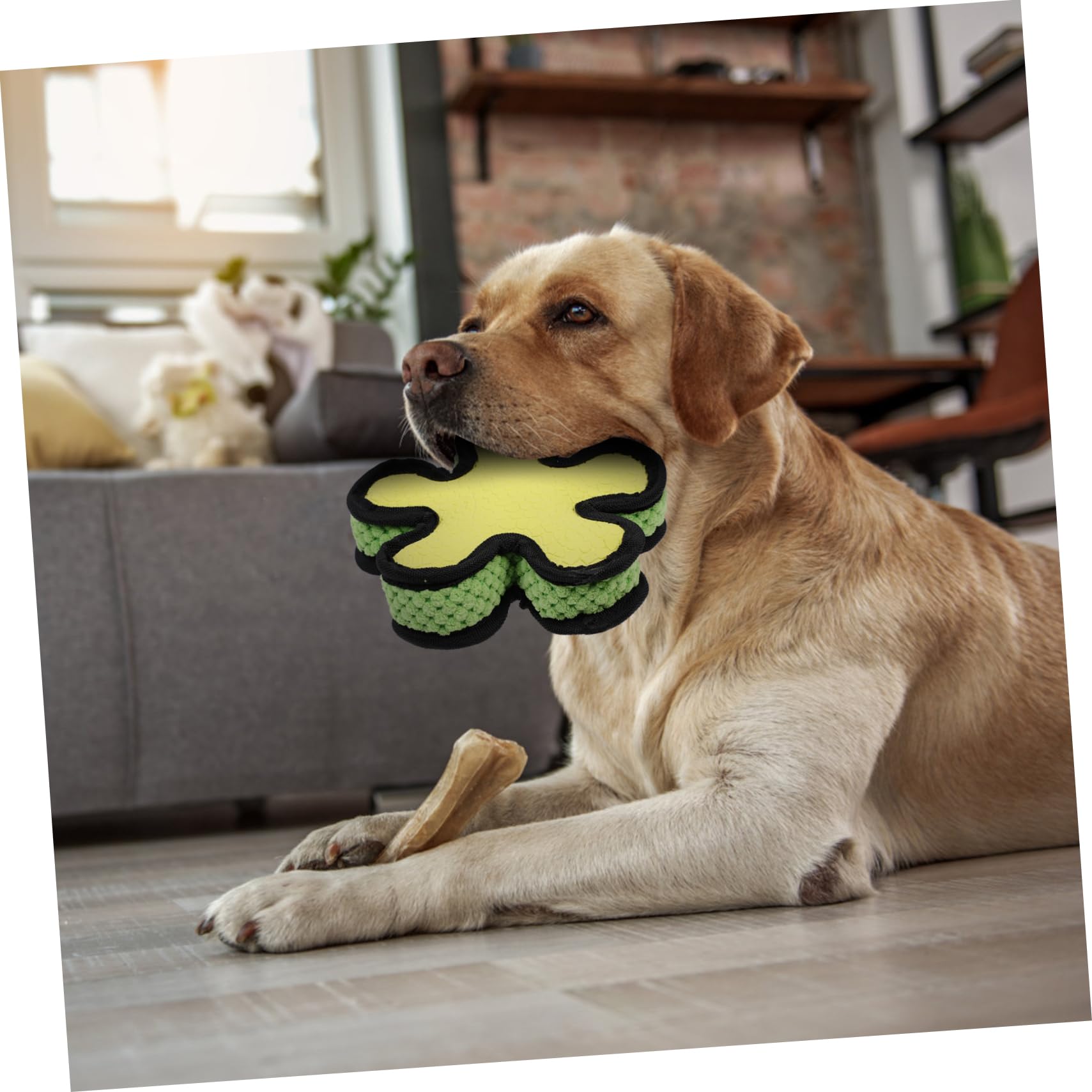 FRCOLOR 3 Piezas Juguete para Mascotas Muñecos Juguete Perro Pequeño Perrito Juguete Bonecas Juguetes para Perros Cachorros Emulsión Resistente a Mordeduras Juguete De Sonido