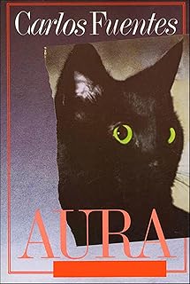 Aura: A Novel
